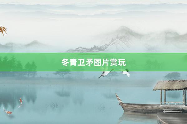 冬青卫矛图片赏玩