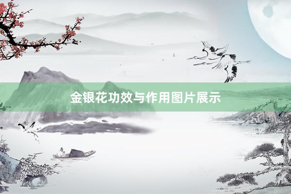 金银花功效与作用图片展示