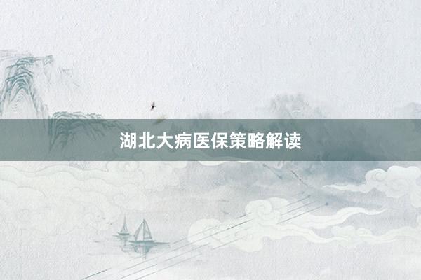 湖北大病医保策略解读