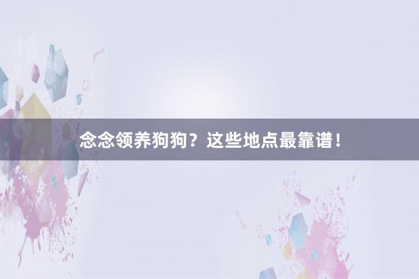 念念领养狗狗？这些地点最靠谱！